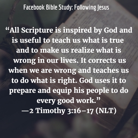 Meet your Posher, Alyse - Picture 7 of 16